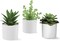 Set of 3 Artificial Succulents in White Pots – Faux Small Potted Plants for Home Decor, Office Desk, Bathroom, Shelf & Modern Tabletop Decoration